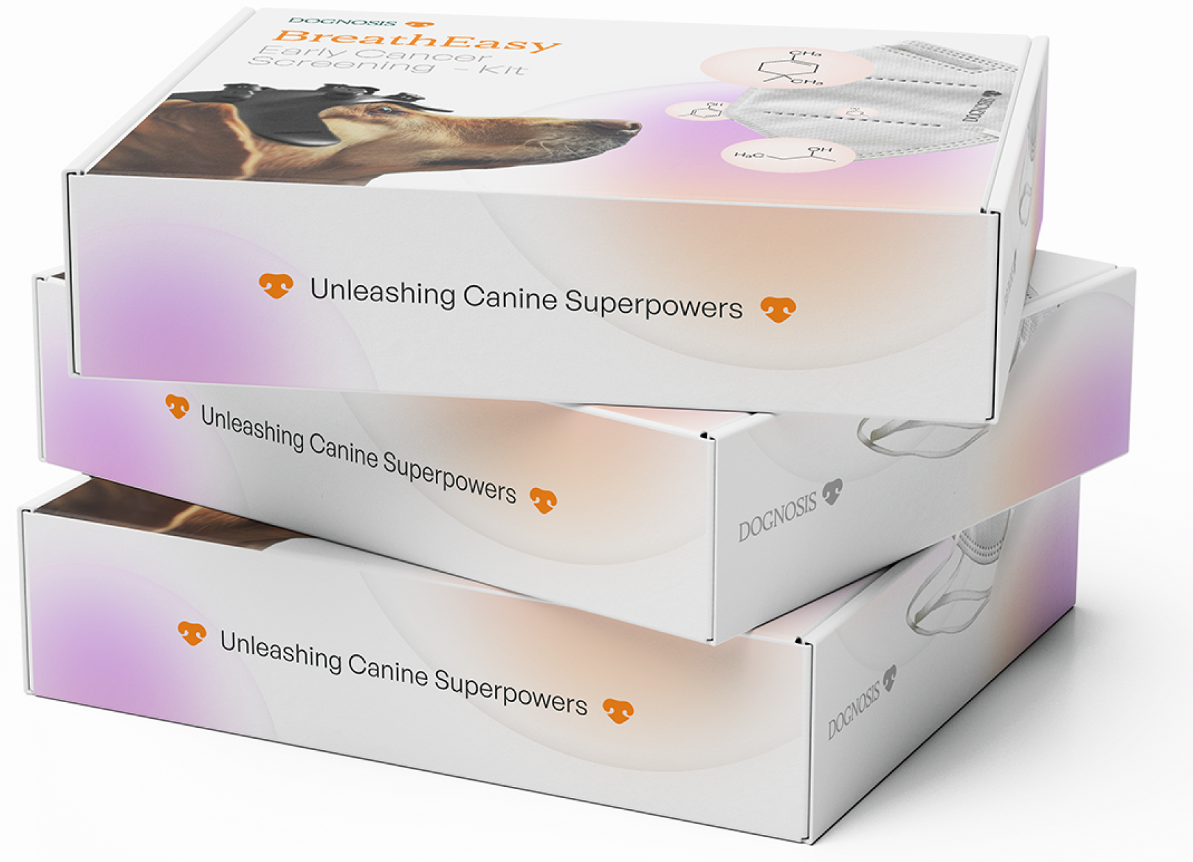 The BreathEasy screening kit
