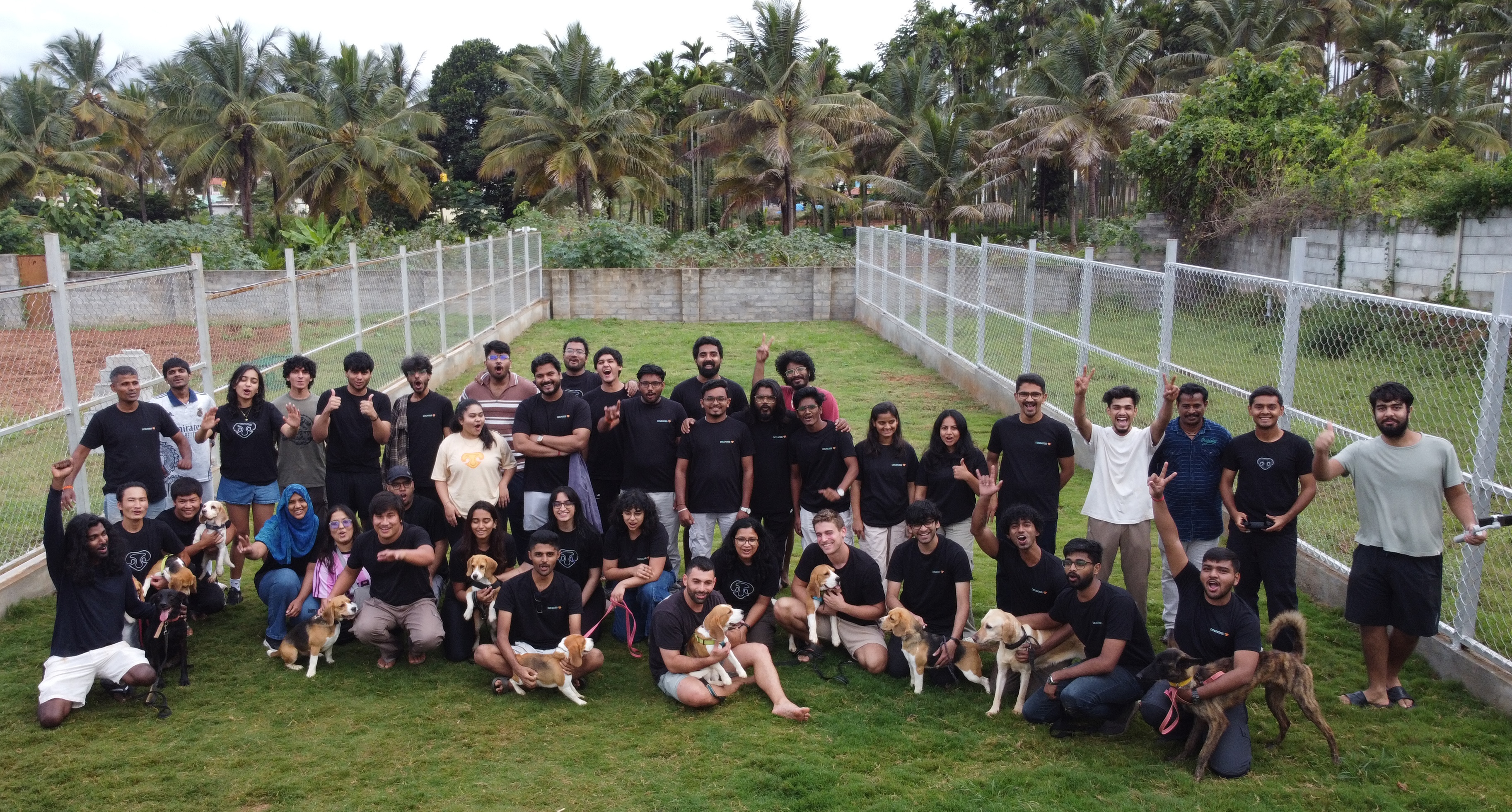 The Dognosis team with the dogs
